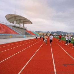 拼裝(zhuang)運(yun)動(dong)地板供應(ying)與批發指(zhi)南 產(chan)品、價(jia)格(ge)與選購(gou)渠道(dao)