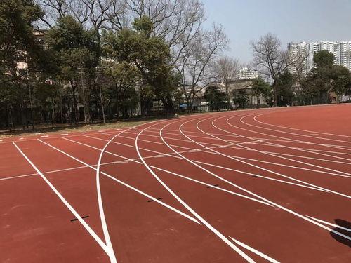 塑(su)膠跑道類(lei)型(xing)對比 預制型(xing)跑道卷(juan)材(cai)的優勢(shi)與應用(yong)