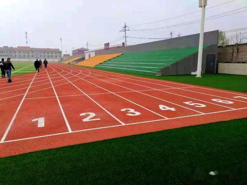 《學校運(yun)動(dong)場地(di)合(he)成(cheng)材料面層(ceng)推薦目(mu)錄（2021-2022）》產品(pin)展播 塑膠(jiao)場地(di)預制型跑(pao)道(dao)卷材
