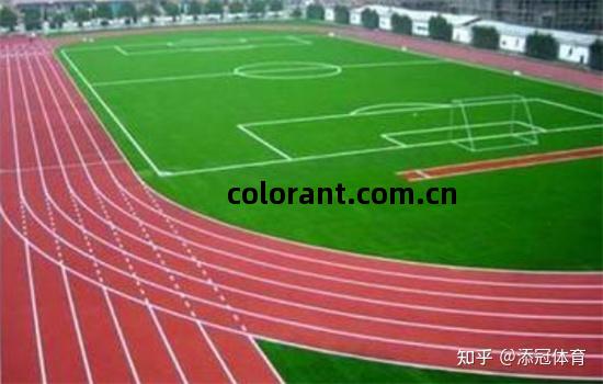 全塑(su)型(xing)塑(su)膠(jiao)跑(pao)道(dao)施工(gong)流(liu)程詳解(jie) 預制型(xing)卷材鋪設(she)指(zhi)南